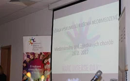 DZCH 2017 medializacia a vystupy