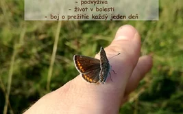 Medzinárodný týždeň Epidemolysis bullosa 2020