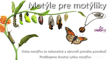 motylie-kridla-pomoc